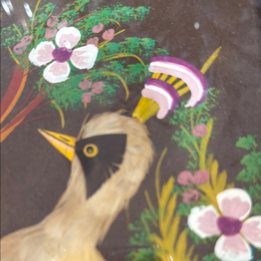 1950’s Mexican Feather Art Picture with Birds in wooden frame - Picture 7 of 8